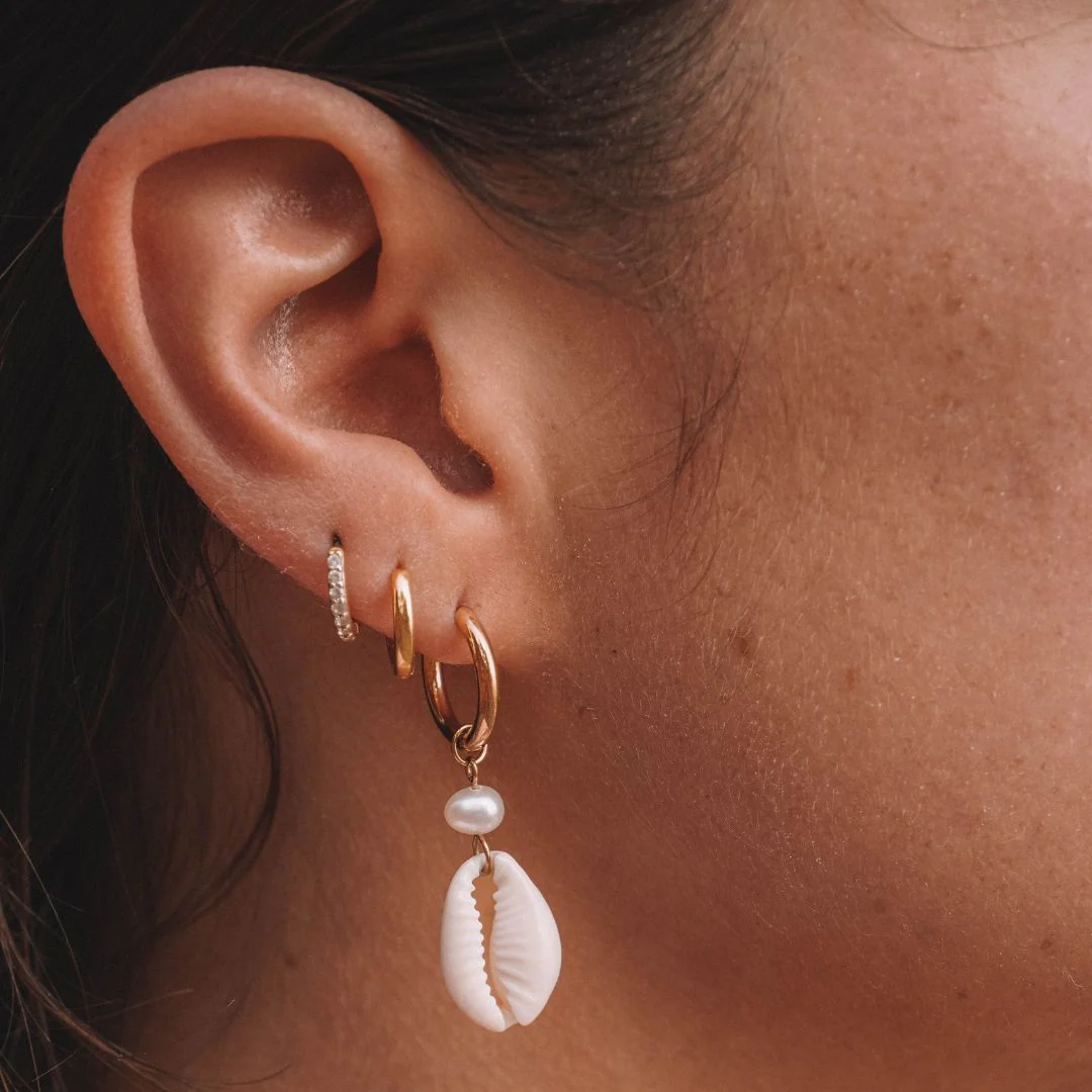 Cowrie Earrings - Image 5