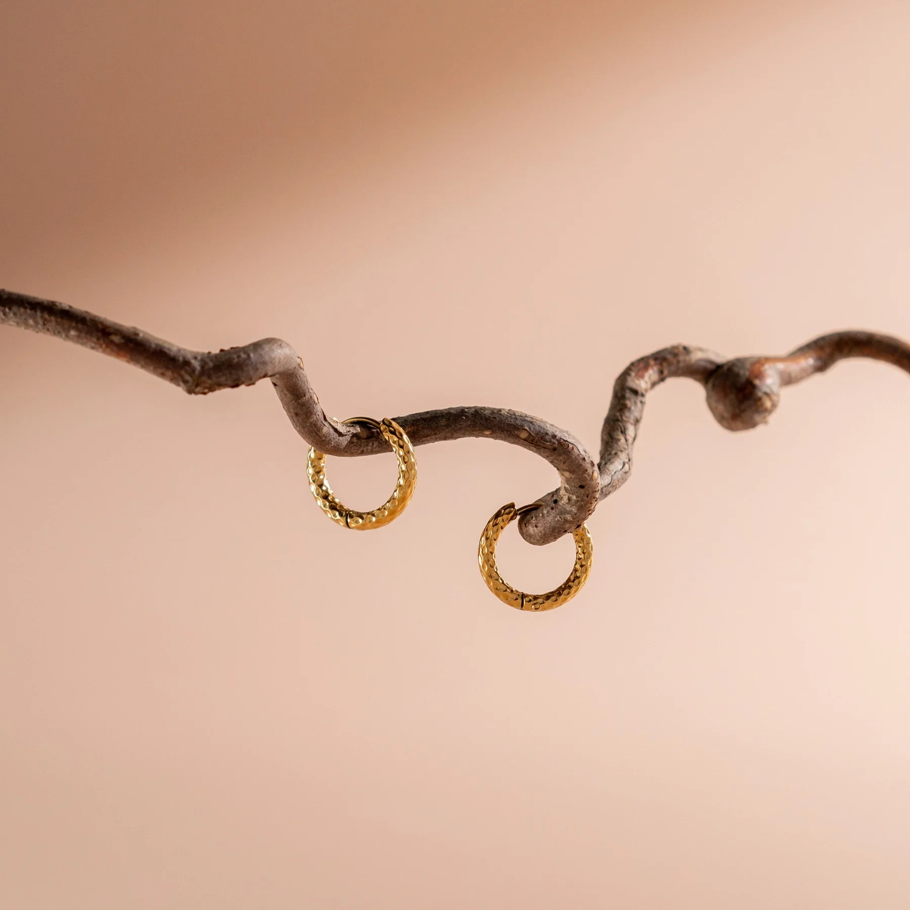 Hammered Hoops Earrings - Image 10