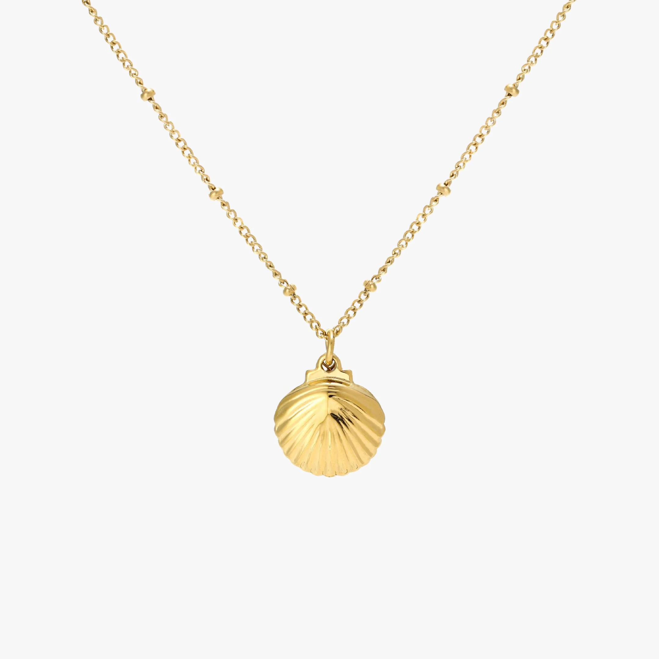 Seashell Necklace - Image 10