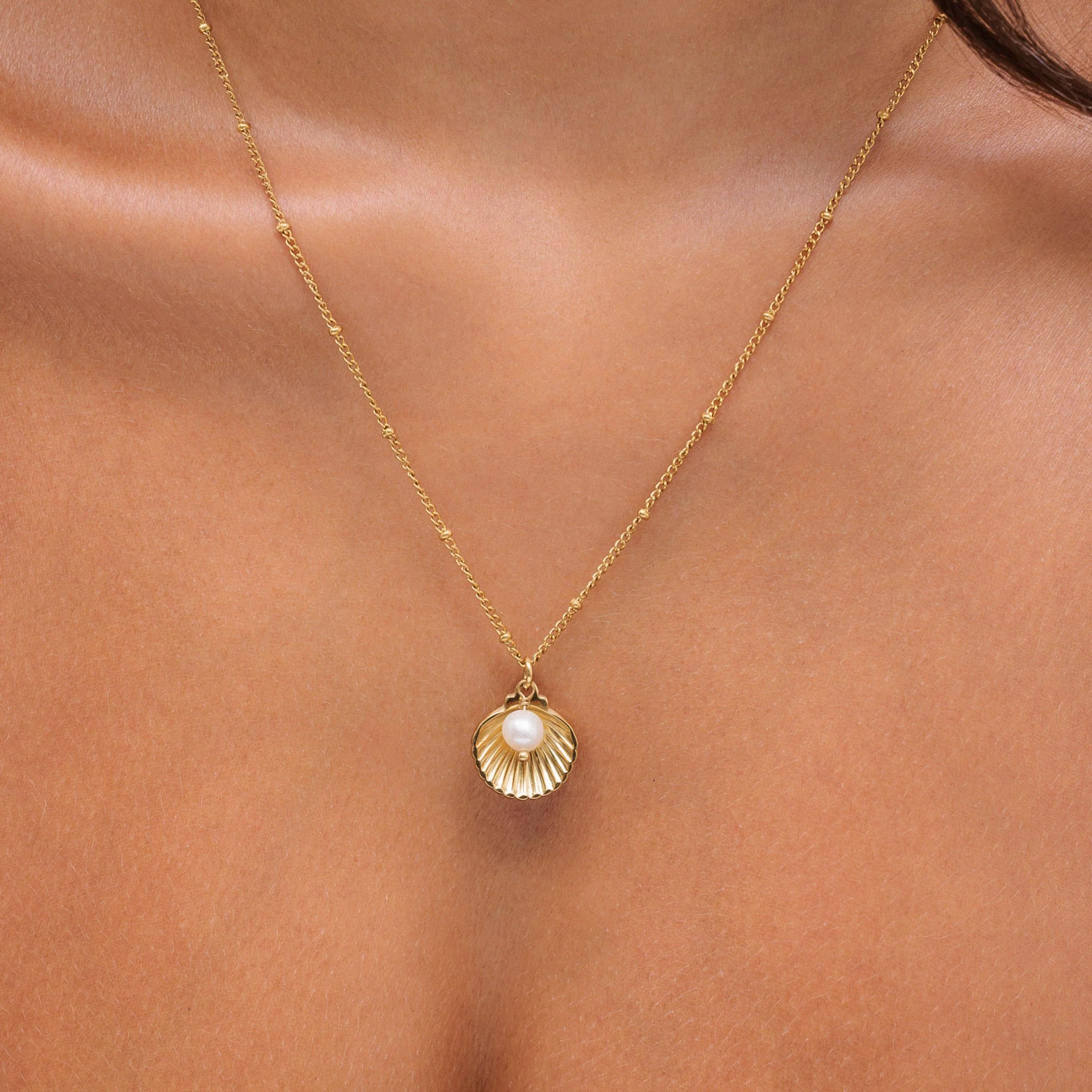 Seashell Necklace - Image 6