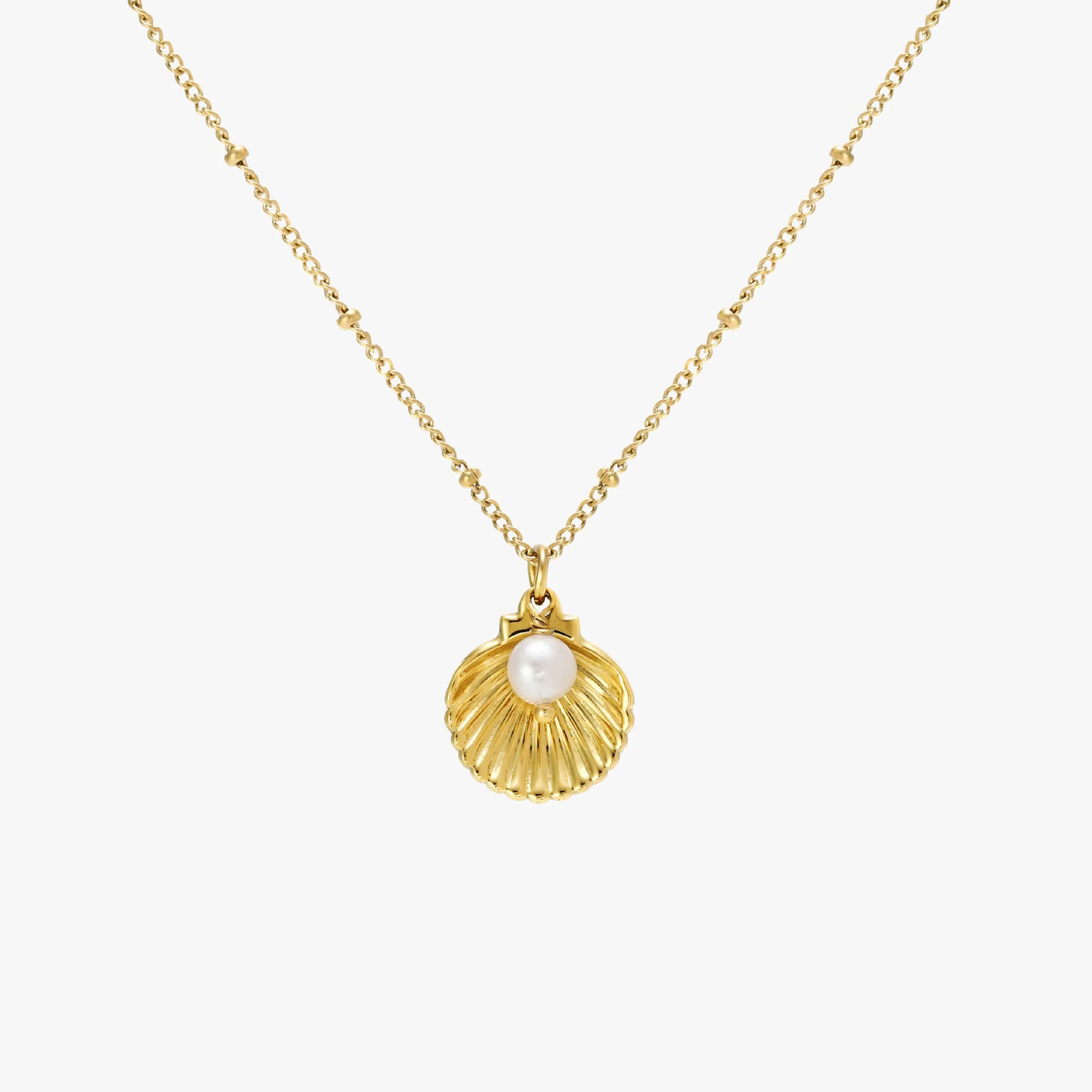 Seashell Necklace - Image 8