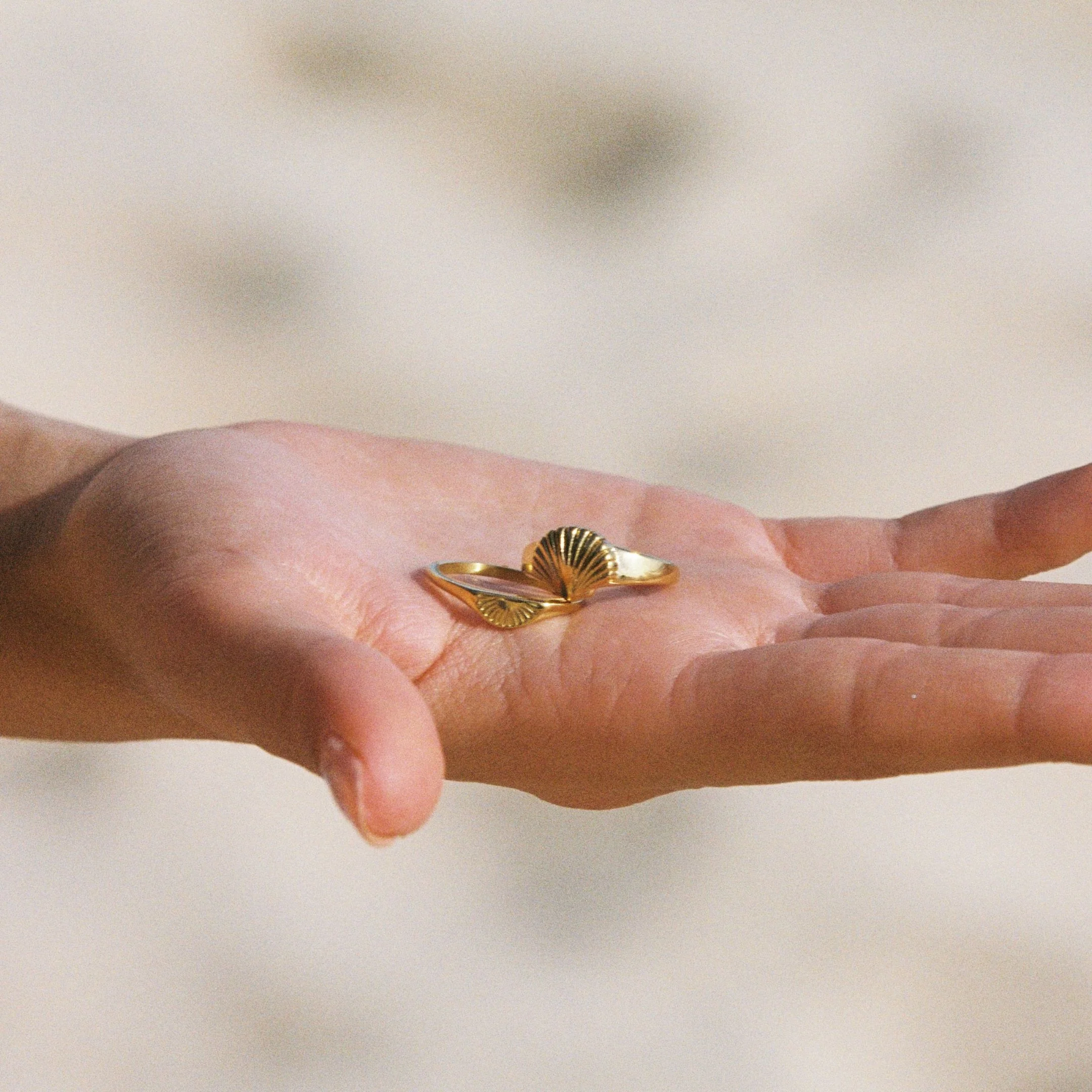 Seashell Ring - Image 11