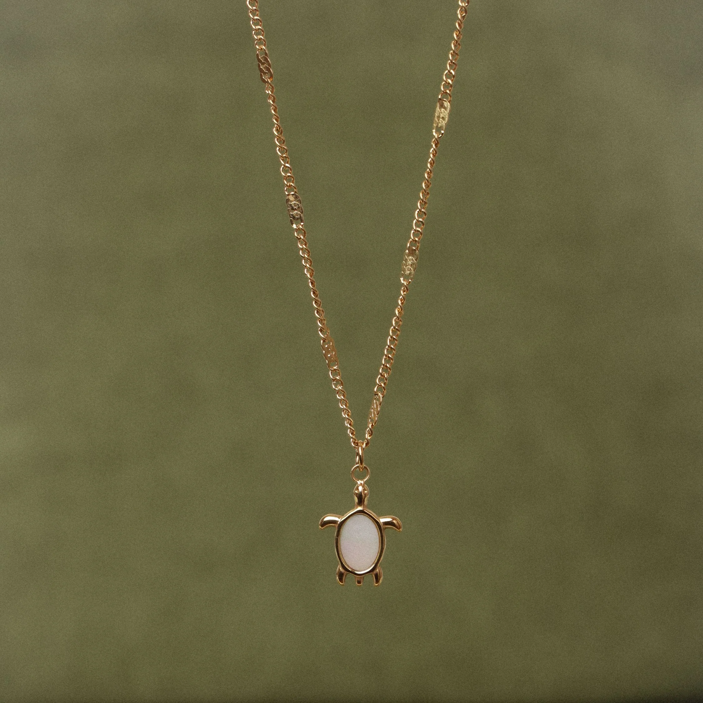 Turtle Guardian Necklace - Image 2